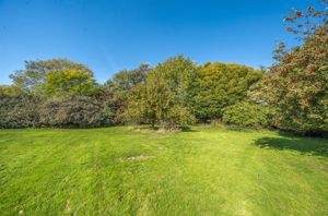 Photo 85- click for photo gallery